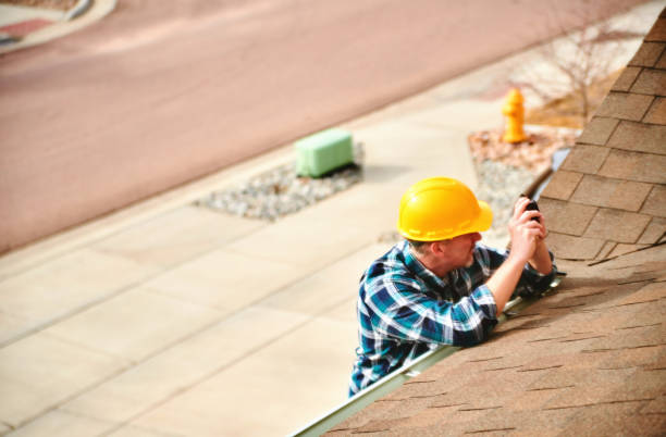 Best Roof Gutter Cleaning  in Apex, NC